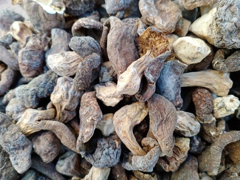 杨顶土山蘑菇口蘑直供
