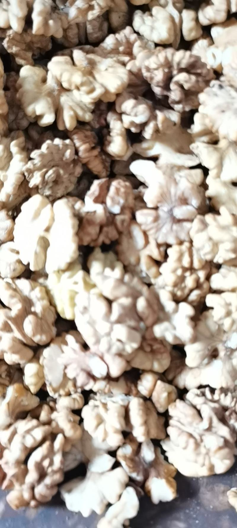云南纸皮核桃古树核桃大麻果产地直销壳薄仁白高山老树核桃