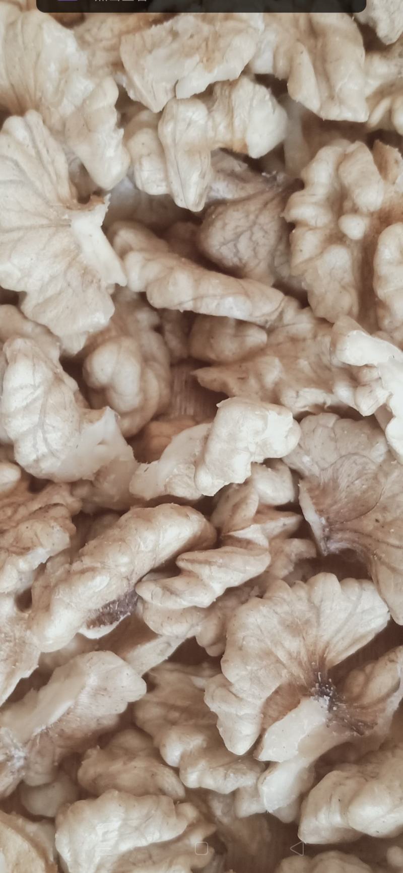 云南纸皮核桃古树核桃大麻果产地直销壳薄仁白高山老树核桃