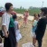 黄金蜜1号桃苗，早熟优质丰产