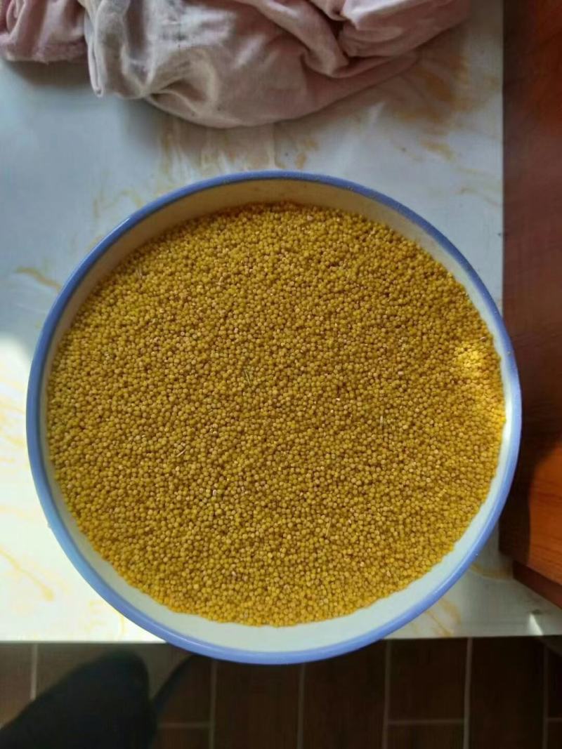 新产小米不添加任何色素