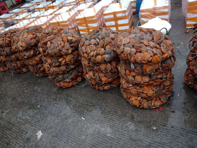 冰鲜花蟹，肉多味道正，价格实惠，诚实交易