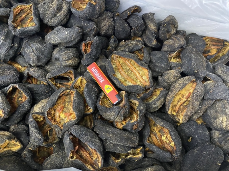 厂家直销批发干货冰岛开口红极参筒装红极参