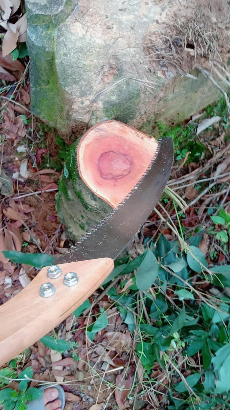 家用锯木头锯树枝非常锋利折叠锯刀锯伐木神器手锯