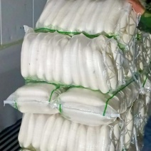【牛商推荐】大量供应优质雪白萝卜品质保障货源充足