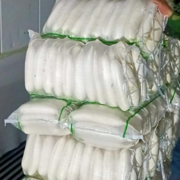 【牛商推荐】大量供应优质雪白萝卜品质保障货源充足