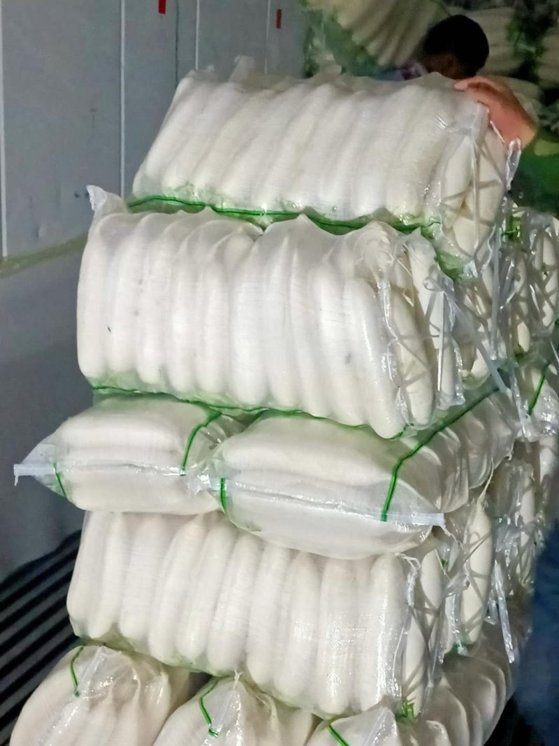 【牛商推荐】大量供应优质雪白萝卜品质保障货源充足