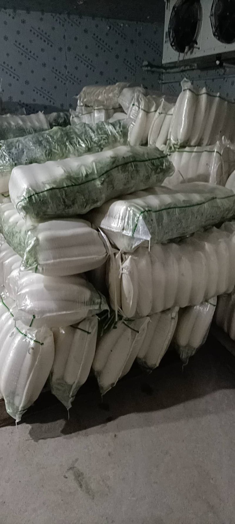 【牛商推荐】大量供应优质雪白萝卜品质保障货源充足