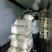 【牛商推荐】大量供应优质雪白萝卜品质保障货源充足