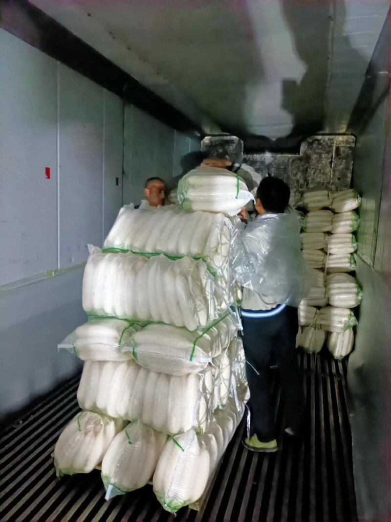 【牛商推荐】大量供应优质雪白萝卜品质保障货源充足