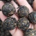 红茶茶普洱茶滇红蜜香老树茶龙珠