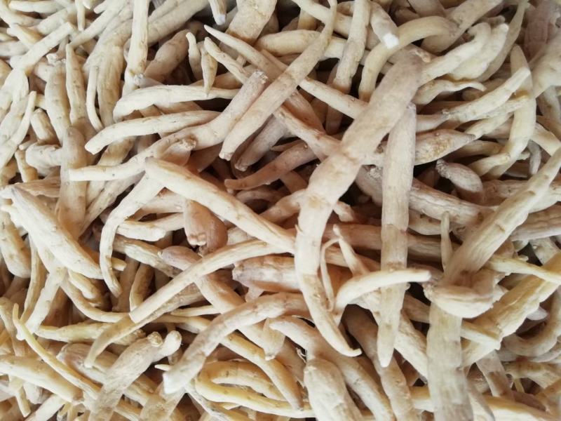 包邮批发太子参天然正品太子参中药材太子参娃娃参