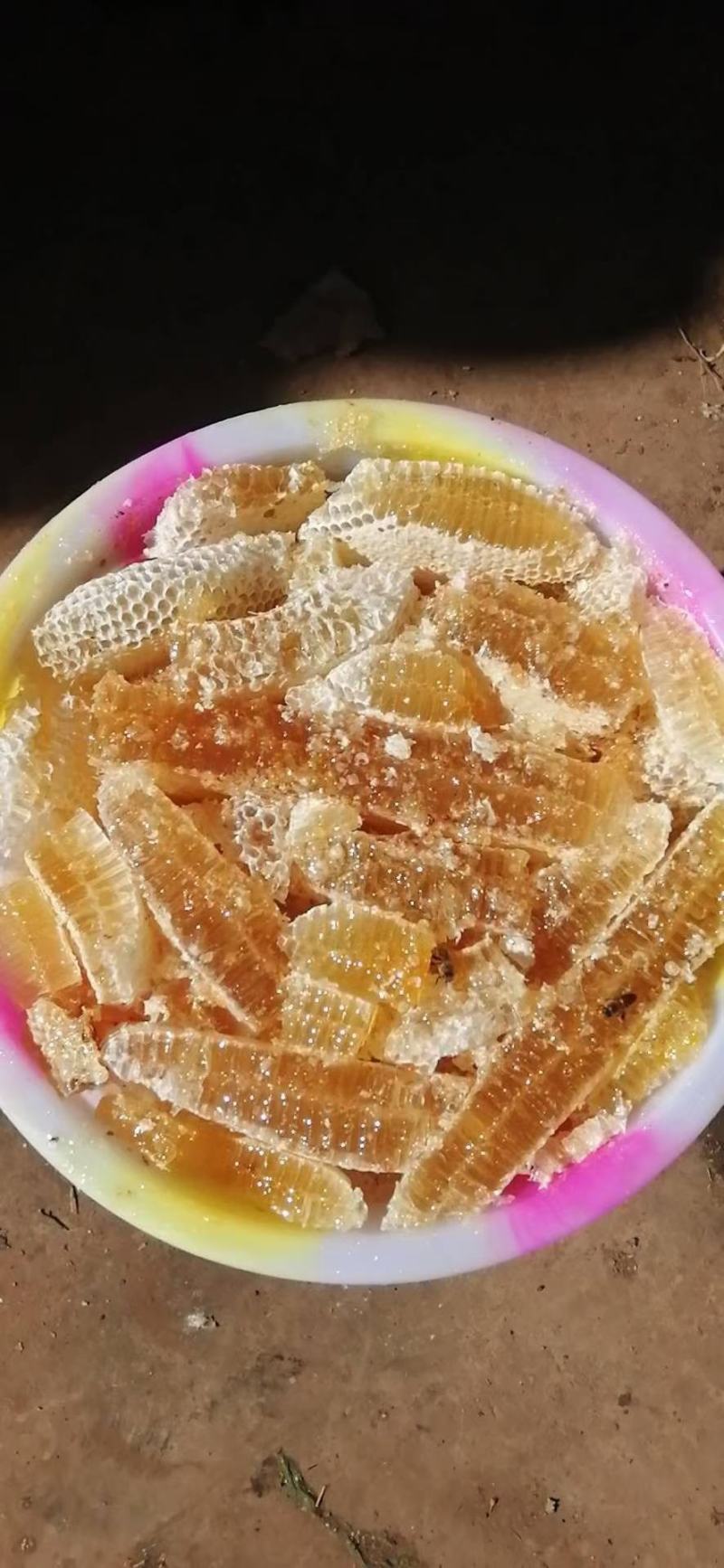 高原土蜂蜜海拔在2500左右