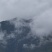 高原土蜂蜜海拔在2500左右