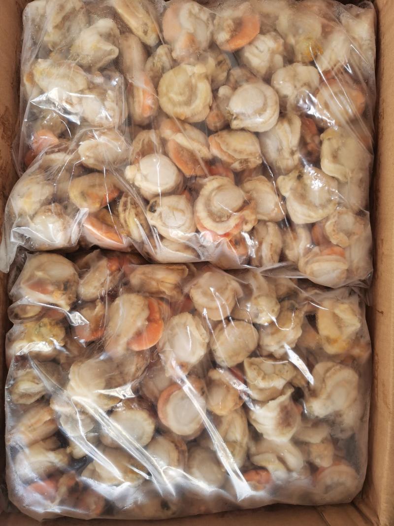 扇贝肉冷冻针孔贝长岛扇贝原汁扇贝肉新鲜速冻规格标准