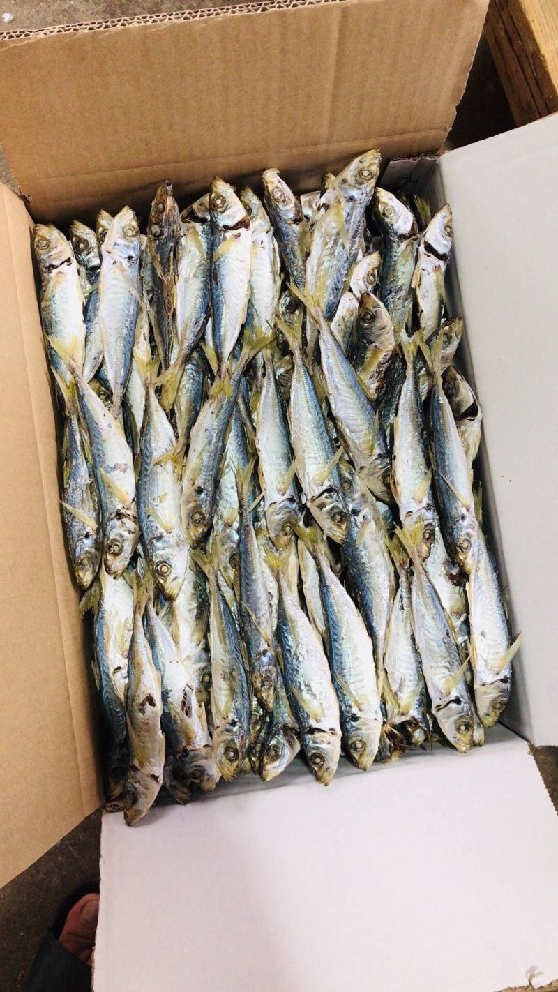黄尾巴浪鱼烤鱼干淡干漂亮海鱼小孩孕妇即食