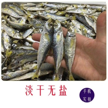 黄尾巴浪鱼烤鱼干淡干漂亮海鱼小孩孕妇即食