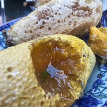 一手货源缅甸进口小挂蜜小草蜜大挂蜜岩蜜黑蜜酸蜂蜜