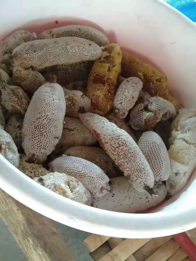 一手货源缅甸进口小挂蜜小草蜜大挂蜜岩蜜黑蜜酸蜂蜜