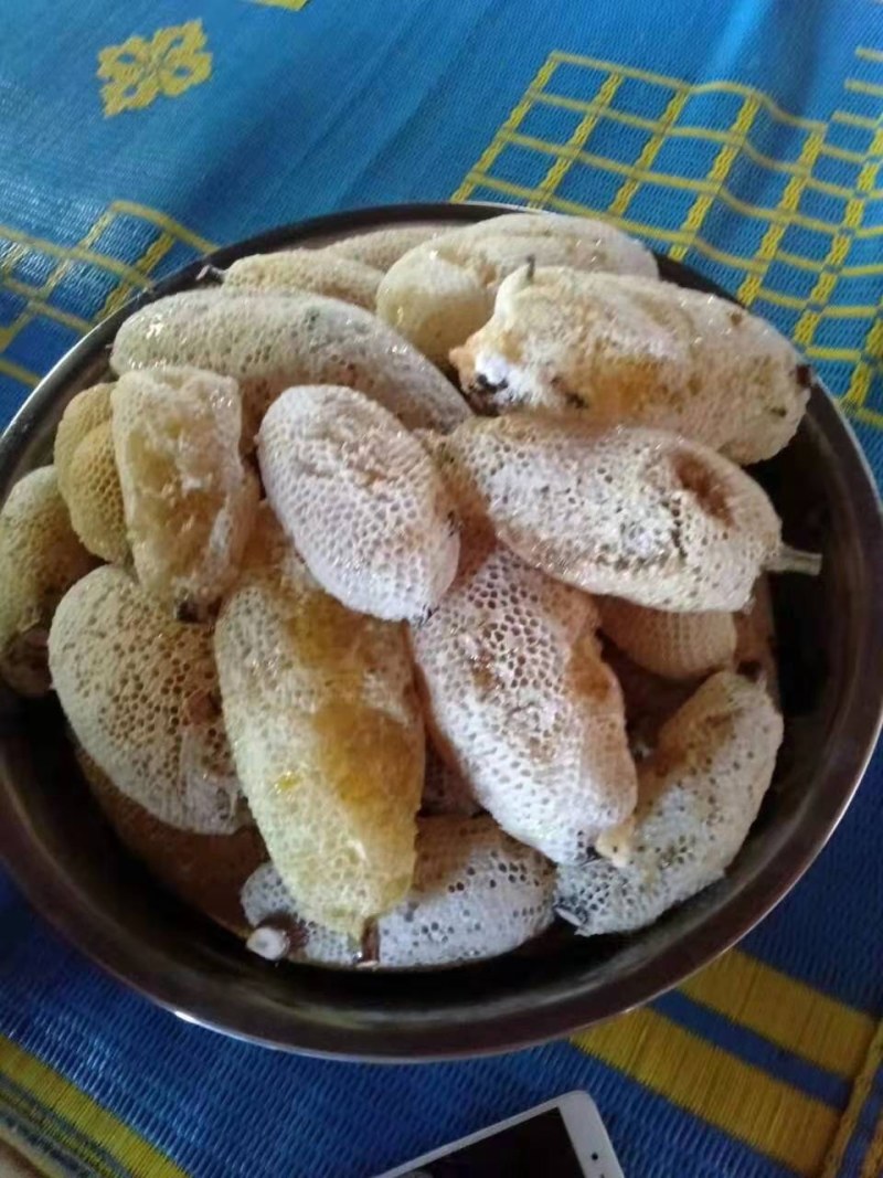 一手货源缅甸进口小挂蜜小草蜜大挂蜜岩蜜黑蜜酸蜂蜜