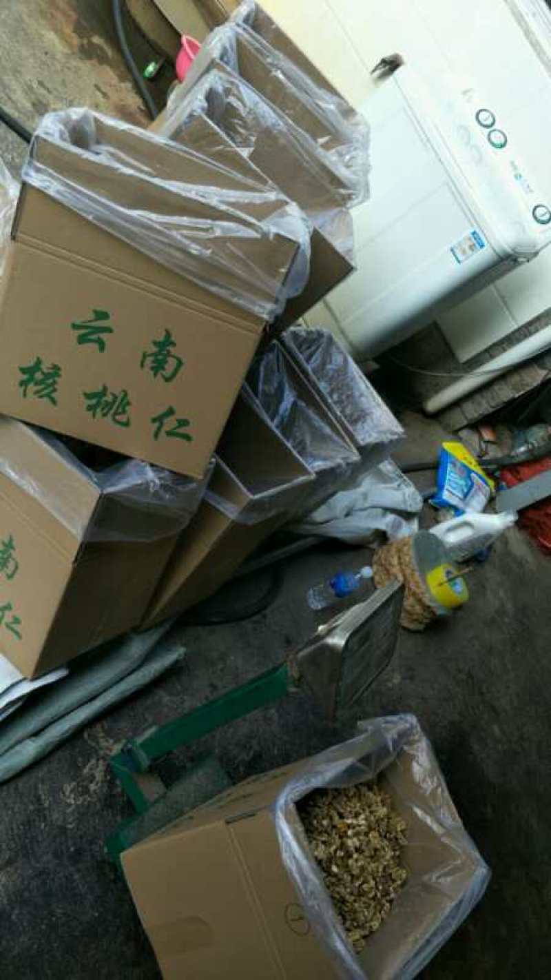云南核桃仁泡核桃仁大片选货精选新货品质非常好
