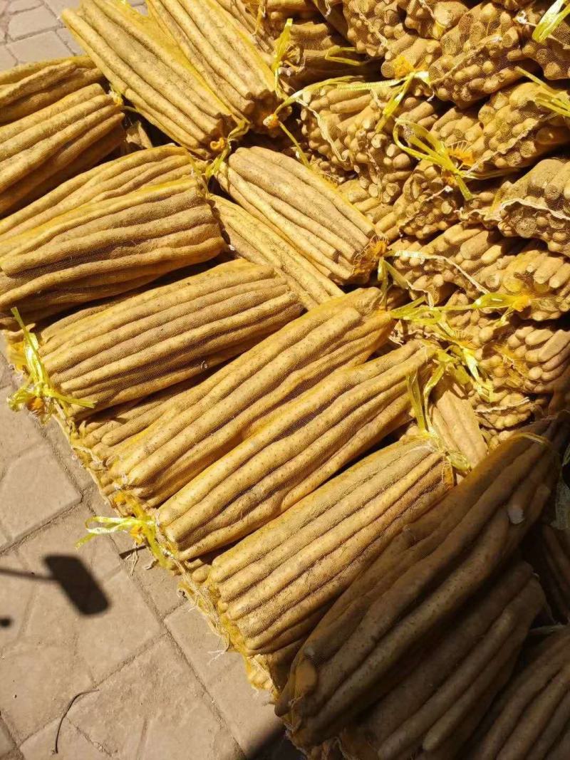 河北安平兴开合作社小白嘴白山药麻山药长期大量现货