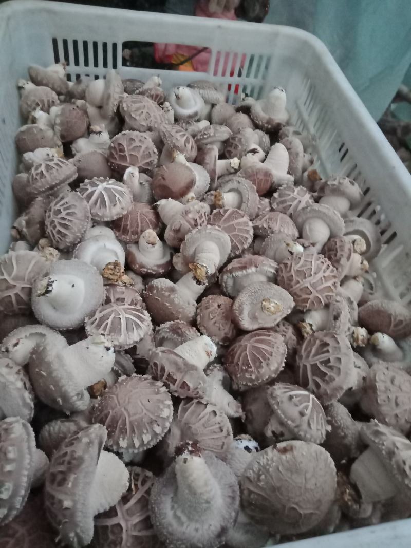 全国发货，自产自销，物美价廉，