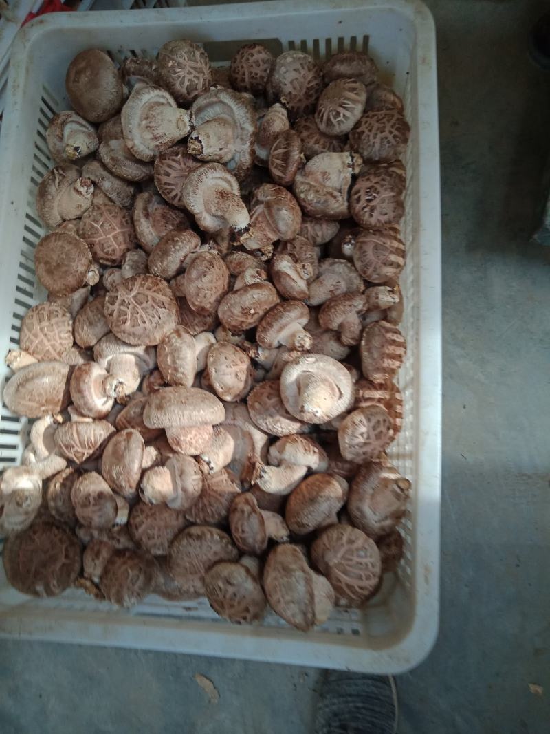 全国发货，自产自销，物美价廉，