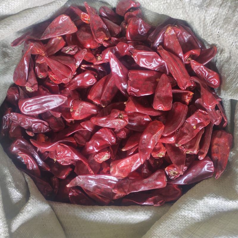 吉林洮南北京红辣椒干价格美丽产地对接