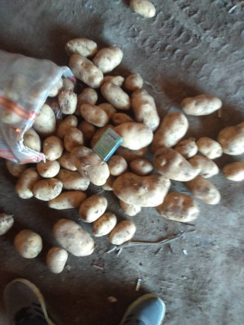 干洗土豆干洗土豆干洗土豆