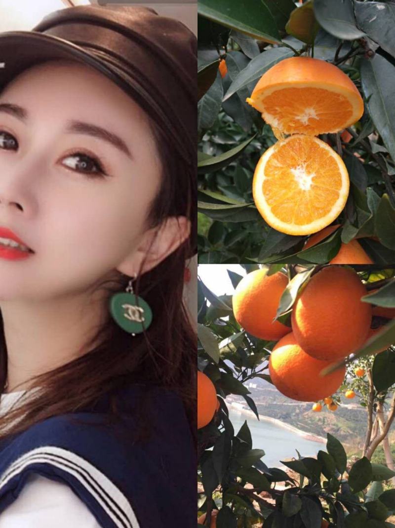 四川爱媛38果冻橙，九月红大量供应，口感佳，皮薄汁多！