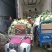 【花菜】青梗白面，价格合理，方便食用，新鲜采摘，一手货源