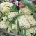 【花菜】青梗白面，价格合理，方便食用，新鲜采摘，一手货源