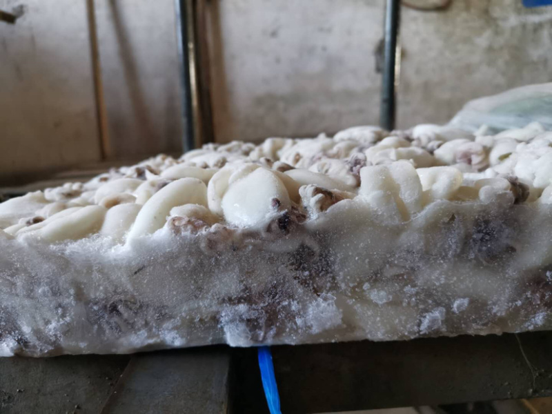 北海厂家直销板冻次品墨鱼仔，次品墨丁，价格低，适合餐饮。