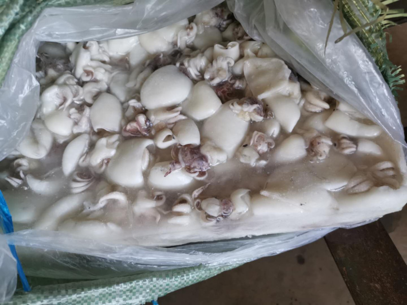 北海厂家直销板冻次品墨鱼仔，次品墨丁，价格低，适合餐饮。