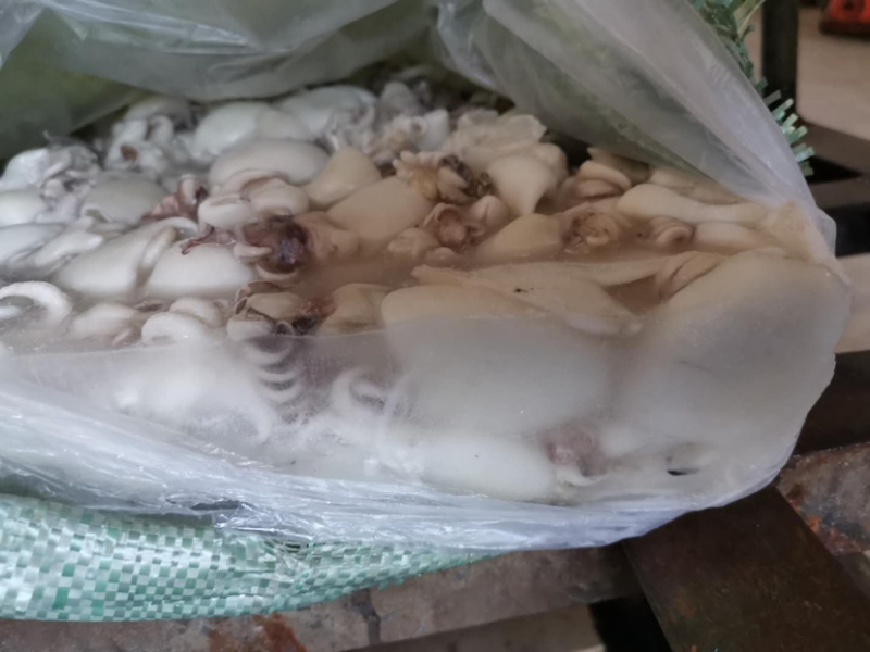 北海厂家直销板冻次品墨鱼仔，次品墨丁，价格低，适合餐饮。
