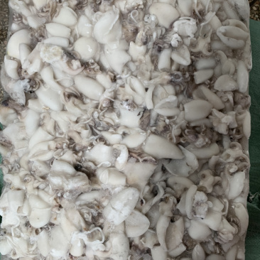 北海厂家直销板冻次品墨鱼仔，次品墨丁，价格低，适合餐饮。
