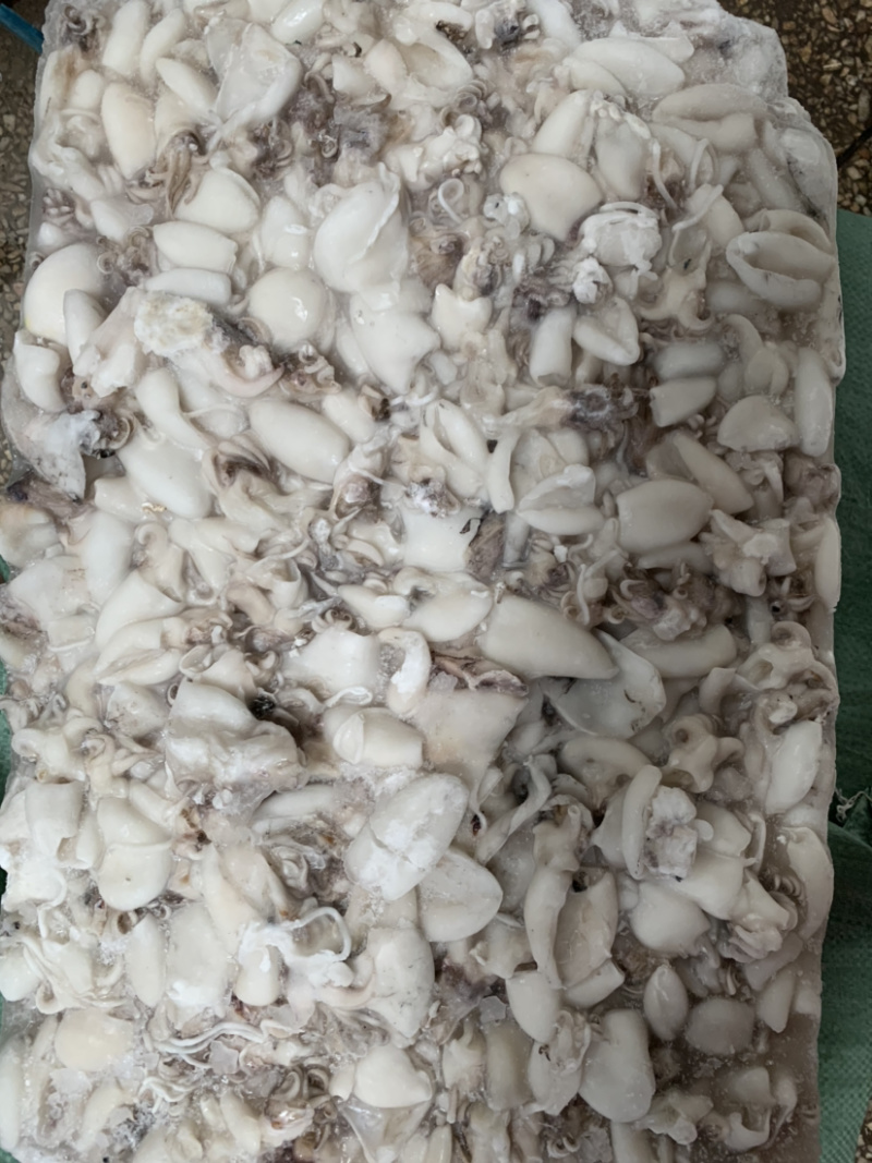 北海厂家直销板冻次品墨鱼仔，次品墨丁，价格低，适合餐饮。