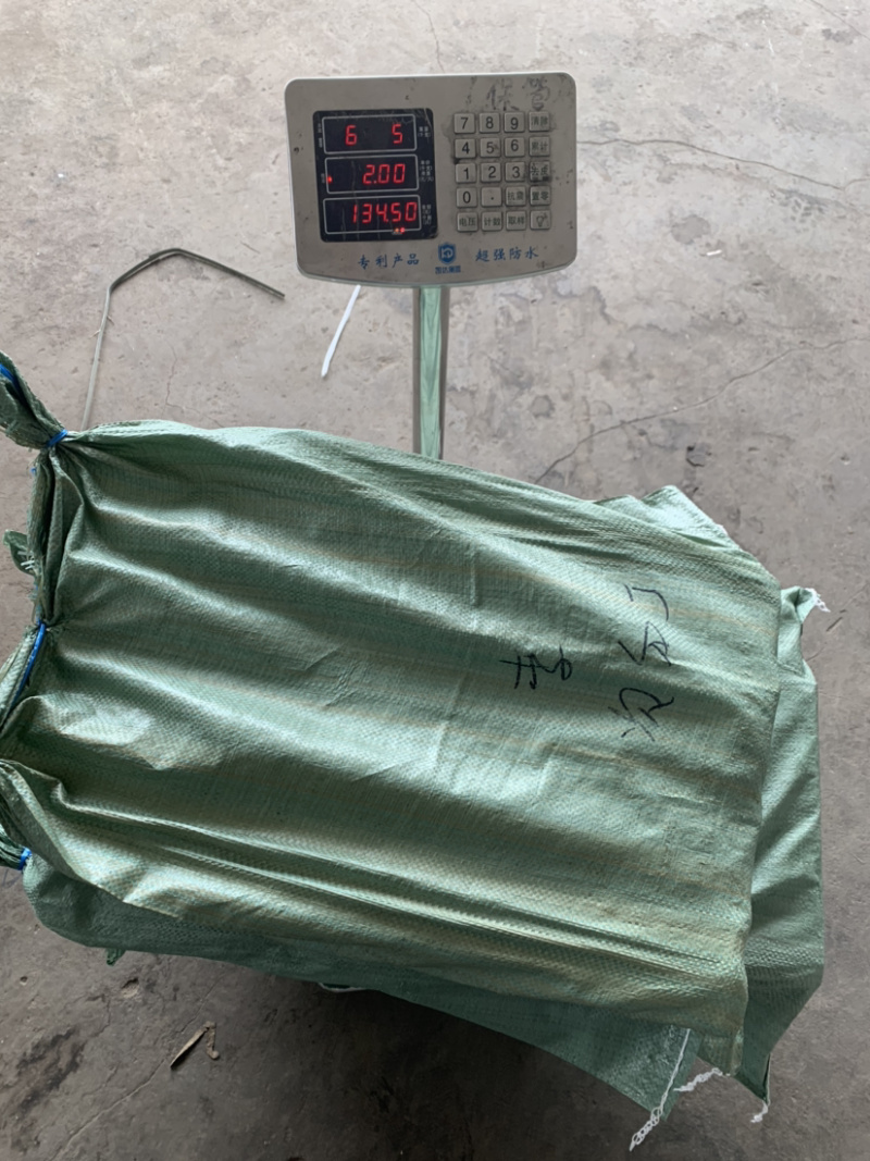 北海厂家直销板冻次品墨鱼仔，次品墨丁，价格低，适合餐饮。