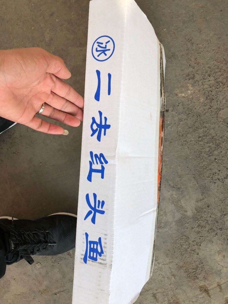 两去红头鱼一箱十斤，单条60克30克两种