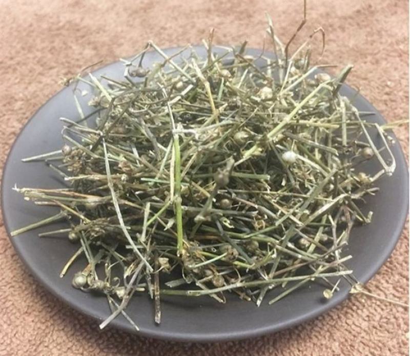 白花蛇舌草选装白花蛇草,产地直供，质优价实，品质保证