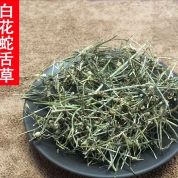 白花蛇舌草选装白花蛇草,产地直供，质优价实，品质保证
