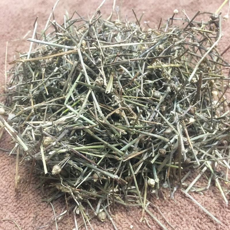 白花蛇舌草选装白花蛇草,产地直供，质优价实，品质保证