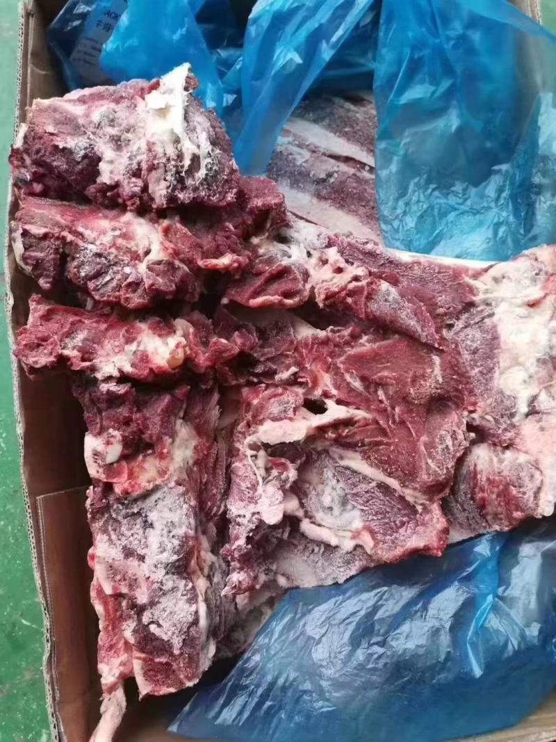 牛背骨，牛脊骨，带肉牛骨，厂家直销，可加工锯断