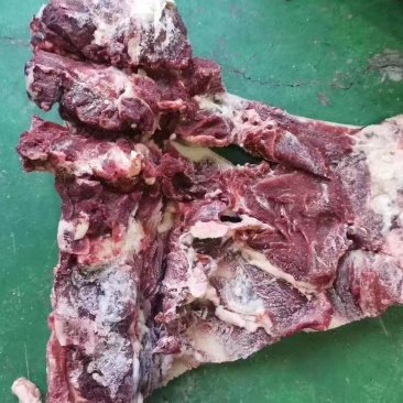牛背骨，牛脊骨，带肉牛骨，厂家直销，可加工锯断