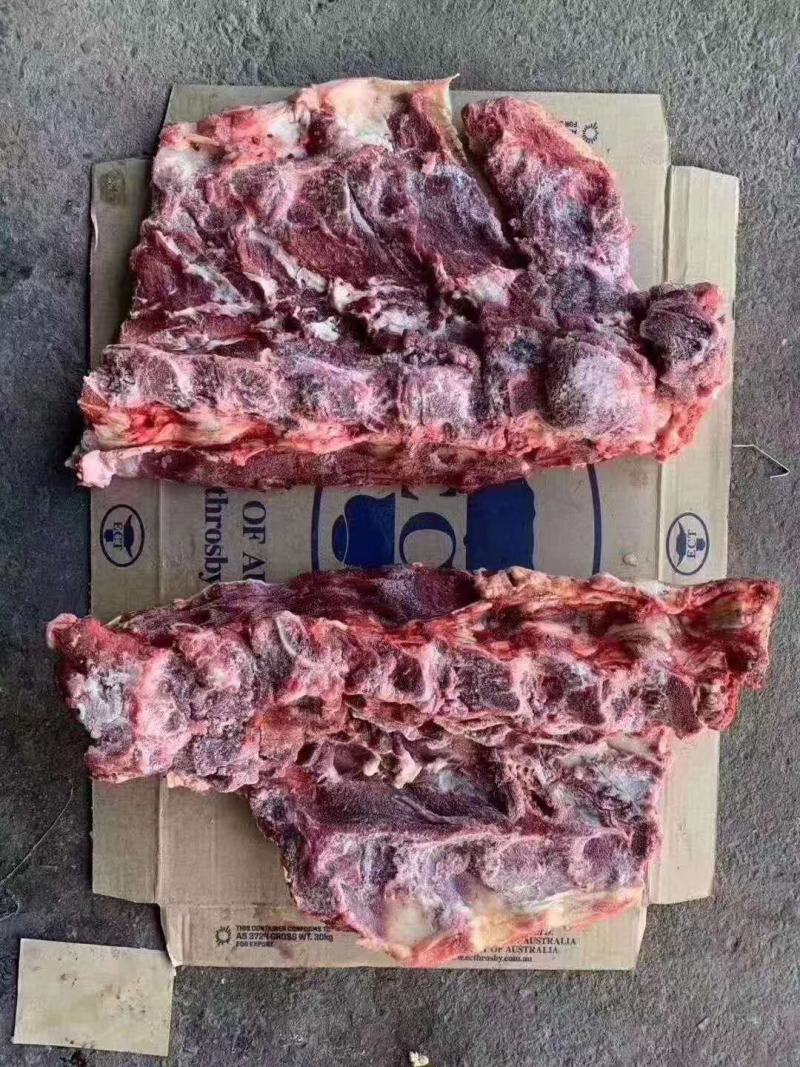 牛背骨，牛脊骨，带肉牛骨，厂家直销，可加工锯断