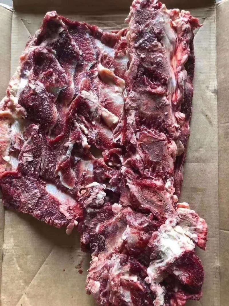 牛背骨，牛脊骨，带肉牛骨，厂家直销，可加工锯断