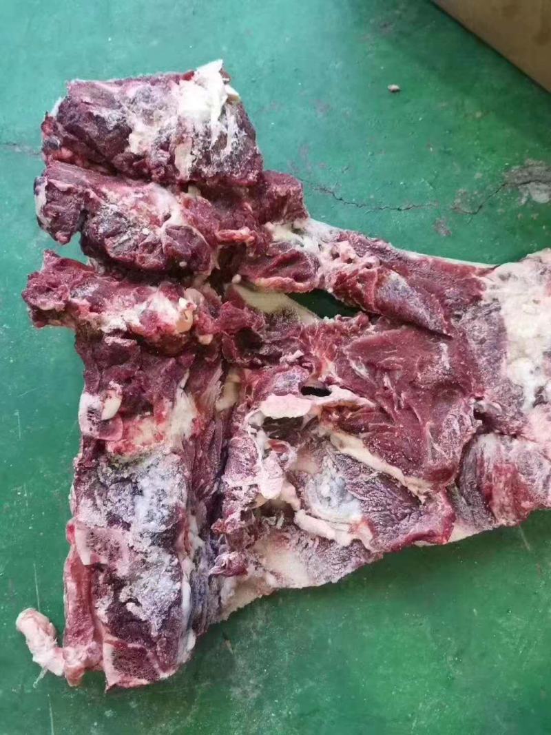 牛背骨，牛脊骨，带肉牛骨，厂家直销，可加工锯断