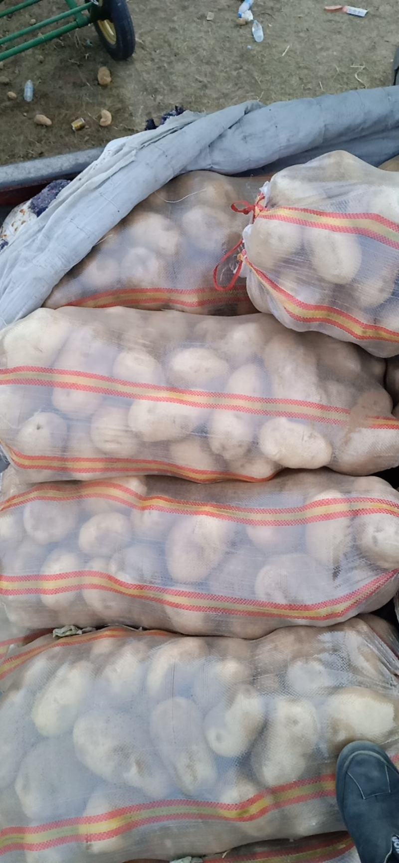 中暑5，希森，V7,大量有货，欢迎老板前来考察