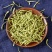 新货金银花一级封丘金银花纯干货金银花500克